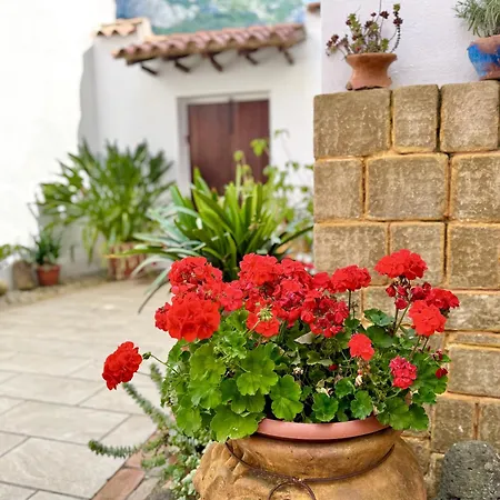 Casa Lia Indipendente Con Patio Privato Nel Golfo Di Orosei *