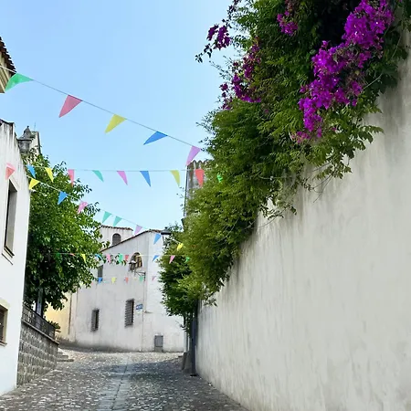 Lägenhet Casa Lia Indipendente Con Patio Privato Nel Golfo Di Orosei Galtellì